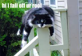 Image result for hi meme