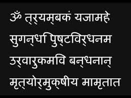 maha mrityunjaya mantra in hindi wikipedia के लिए चित्र परिणाम