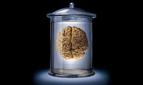 Brain in a Vat