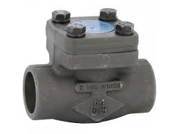 Carbon Steel A105N Piston Check Valve 1'' | GTEEK