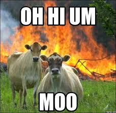 Image result for hi meme