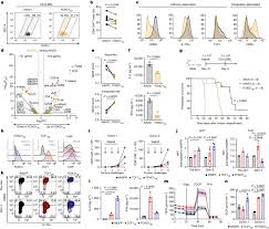 memory programming FOXO1: Orchestrator of Memory Programming in CAR T Cells