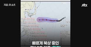 돌핀 태풍