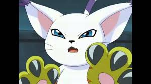 Image result for digimon gatomon