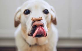 Anfaac aconseja no abusar