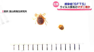 日テレNEWS NNN - News update