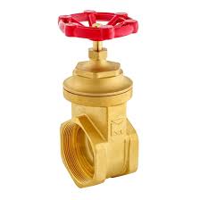 Proline Series 4-in Brass Gate Valve, FIP Inlet/Outlet, 200 ...