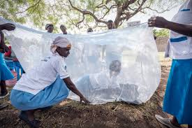 “Now Available: WHO Guidance for Insecticide-Treated Nets of Two New Types”