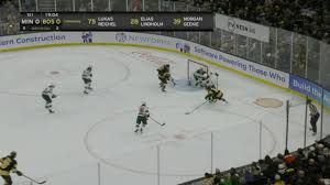 Bruins Defeat Wild, Impacting Playoff Race