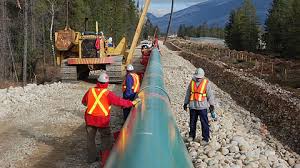 Alberta's proposed oil pipeline attracts interest from Chinese petrochemical giant