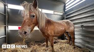 BBC - News update