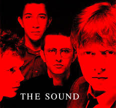 Image result for the sound