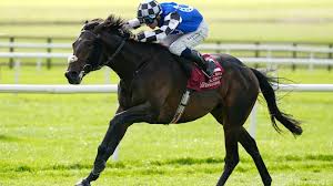 Melbourne Cup 2025 The Rising Hopes the Fairytales and the Fierce Contenders