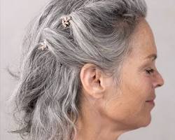 Image de Long Grey Hair with Hairpins