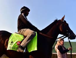 Image result for hats kentucky derby images 2016 ago