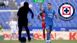 Toro Fernández