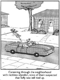 Image result for "gary larson" smite god