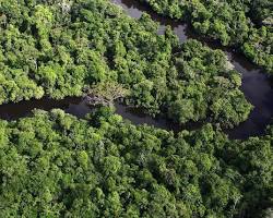 Amazon Rainforest, South America