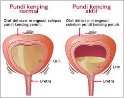 lemah kawalan kencing