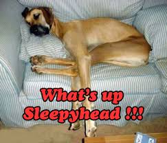 Image result for wake up sleepyheads image