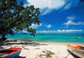 Image result for guadeloupe