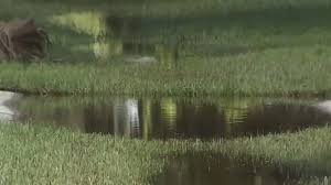 WFTV - News update