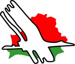 images?q=tbn:ANd9GcQfejFBf1w51XiW709z244C4ZskDfHjYUIU8EicHDQ3qVdBD5h5lQ