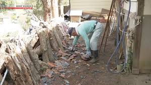 News source: NHKニュース