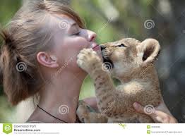 Little lion cub biting girl playing - little-lion-cub-biting-girl-playing-male-32620969