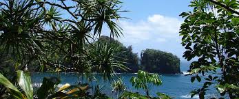 Image result for hawaiian botanical gardens