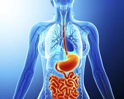 Gastroenterologist