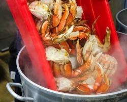 Image of Fiesta de cangrejos en el George Inlet Lodge