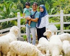 Gambar Farm Day Lembah Hijau Lampung
