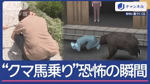 テレ朝NEWS - News update