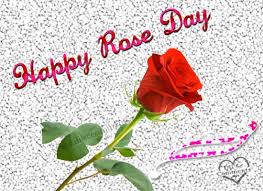 Image result for happy rose day