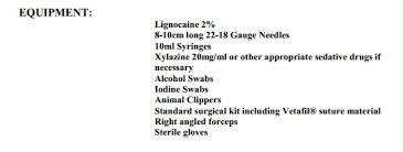 Image result for eyeball enucleation cattle