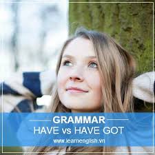 Have and Have got both mean the same. But what are the differences between have and have got, and how to use them correctly in various speaking situation? - differences-between-have-and-have-got