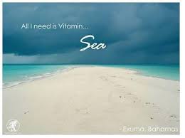 All I need is vitamin sea. | Inspirational Quotes | Pinterest ... via Relatably.com