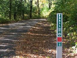 Image result for busse woods trail