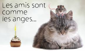 Résultat de recherche d'images pour "animaux animées"