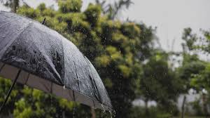 NBC 7 San Diego - News update