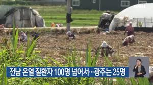 KBS 뉴스 - News update