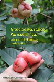 Image result for image quotes on thought of scarcity