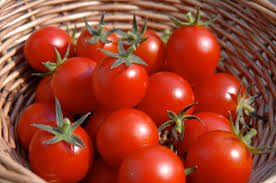 Image result for tomato