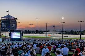 New ticket categories and more ways to experience the Abu Dhabi Grand Prix as race week takes shape