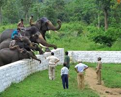 Image of Dubare Elephant Camp, Coorg