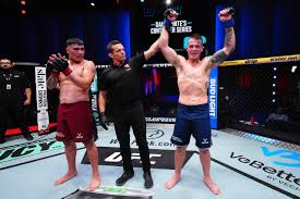 Meta MMA - News update