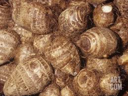 Image result for cocoyam leaves