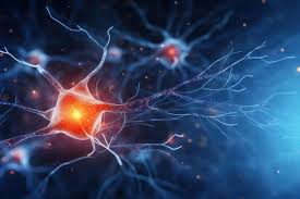 Overworked Brain Cells May Hold the Key to Parkinson’s Disease
