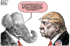 Image result for trump cartoon